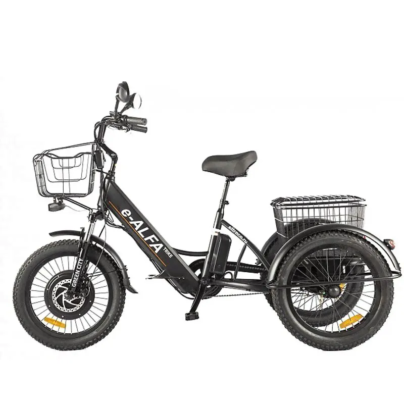 Электровелосипед для дачи GREEN CITY e-ALFA Trike-1