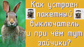 Пакетный выключатель- устройство и немного о ловле "зайчиков".