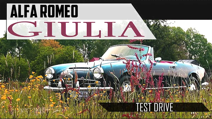 ALFA ROMEO GIULIA 1600 Spider 1963 - Test Drive in top gear - Engine sound | SCC TV