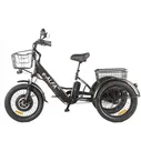 Электровелосипед для дачи GREEN CITY e-ALFA Trike