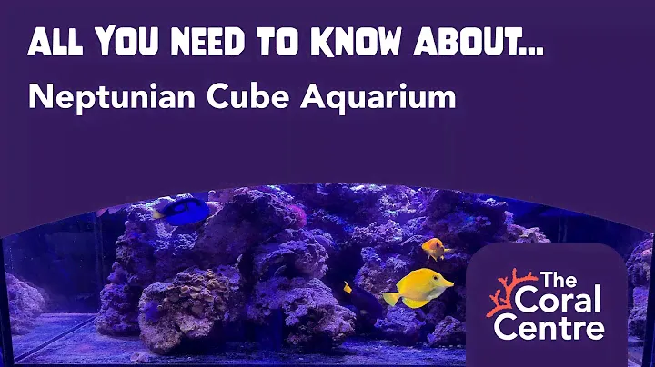 Product Review...All you need to know about Neptunian Cube Aquarium
