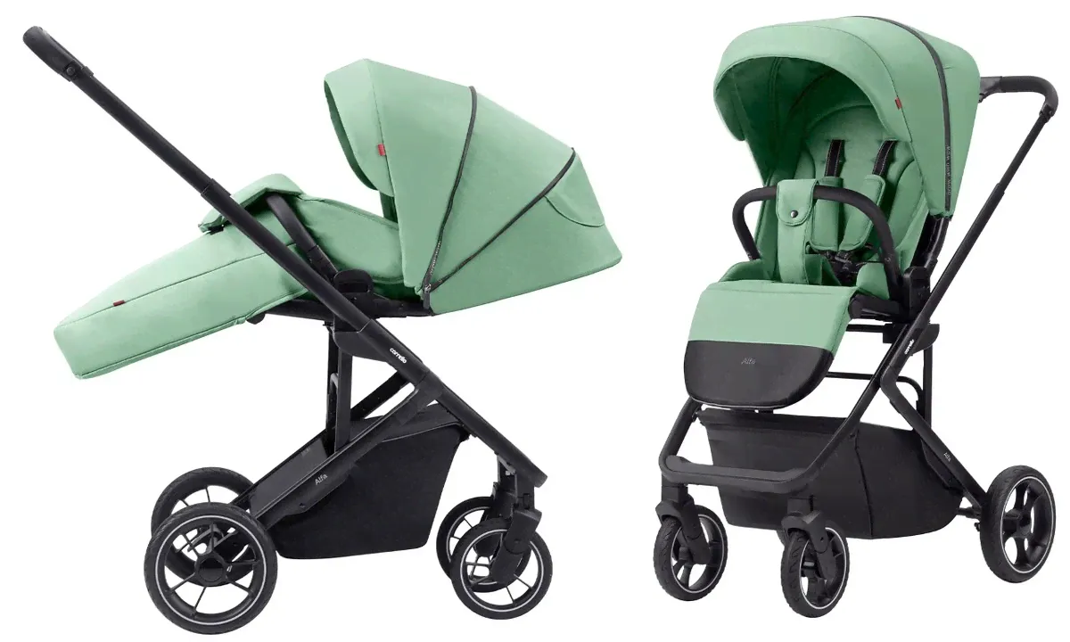 Детская коляска CARRELLO Alfa CRL-5508 Cloud Grey новинка 2023-0