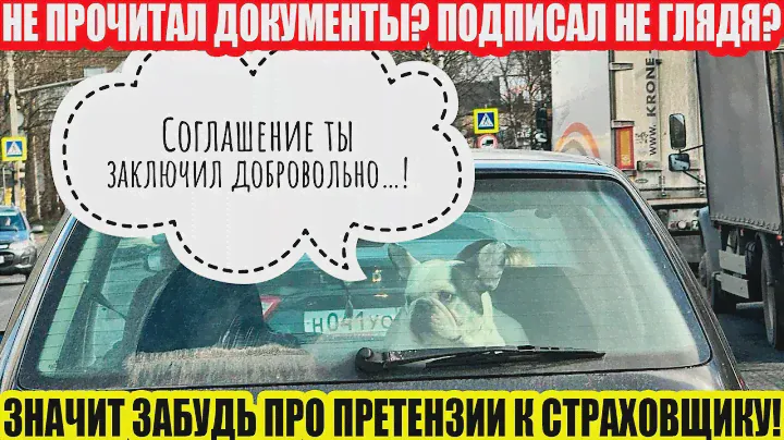 ОСАГО: РАЗБОР СОГЛАШЕНИЯ НА ВЫПЛАТУ ПО ОСАГО ОТ СК «АЛЬФА-СТРАХОВАНИЕ»