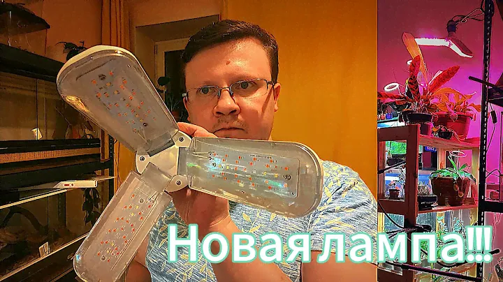 Лампа клевер! Обновочка!!! Распаковочка!!!