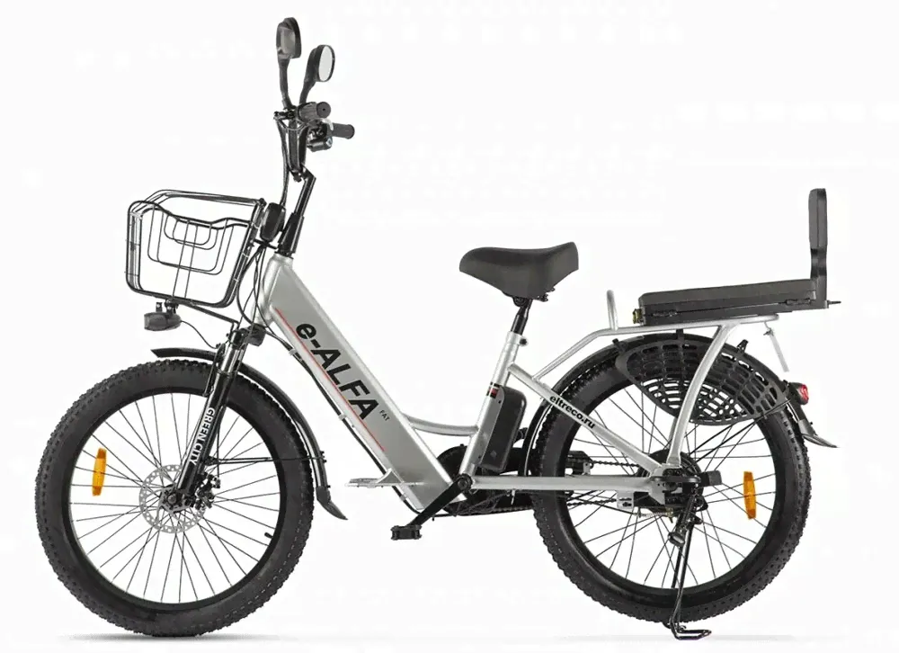 Электровелосипед фэтбайк GREEN CITY e-ALFA Fat серебристый-0