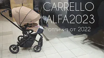 Коляска Carrello Alfa 2023, отличия от 2022 , магазин DKS