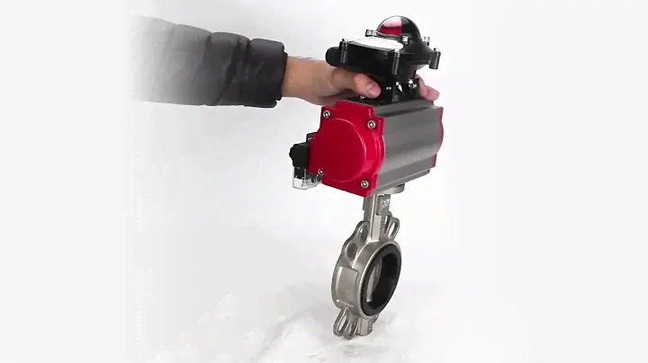 Product Review: Water Butterfly Valve Elephant 316L-316L-EPDM-SA-4M310-110/220-APL210N