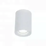 Потолочный светильник Maytoni C012CL-01W Alfa-4