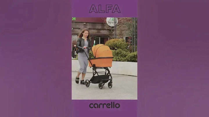 Universal stroller Carrello Alfa 2 in 1 CRL-6507