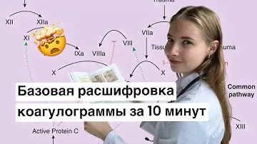 Разбор базовых показателей коагулограммы. Что нужно знать любому врачу