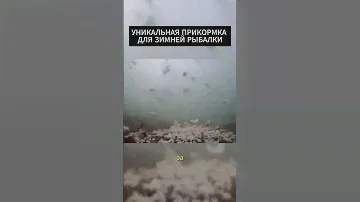 УНИКАЛЬНАЯ ПРИКОРМКА для ЗИМНЕЙ рыбалки:СЕКРЕТНЫЙ ингредиент для ПОТРЯСАЮЩЕГО улова! #рыбалка #шортс