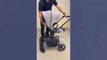 Коляска Carrello Alfa