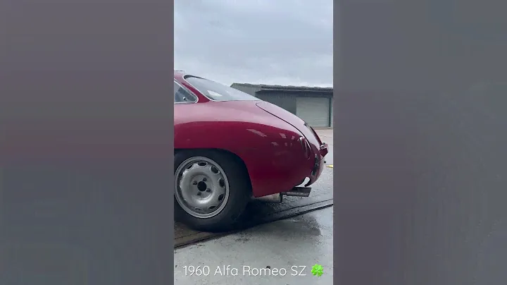 1960 Alfa Romeo SZ first start and warming up after a mechanical service @ Alficina 🍀 #classiccars