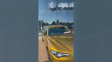 Alfa Romeo Color Ochre Yellow / Giallo Ocra #ochreyellow #gialloocra #alfaromeo #alfacolor