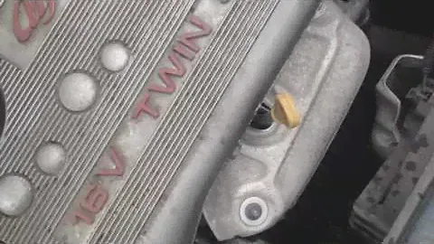 66204
