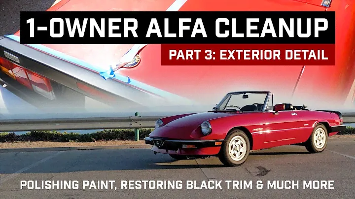 1-Owner Alfa Romeo Spider Cleanup PART 3: Full Exterior Detail