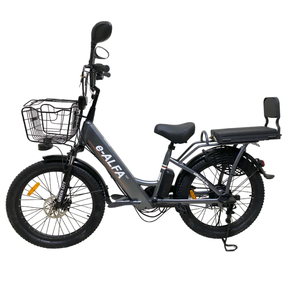 Электровелосипед GREEN CITY e-ALFA Fat тёмно-серый-0