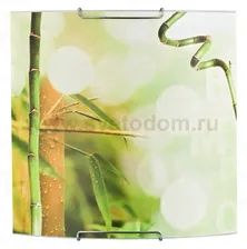 Alfa GREEN 91388 потолочный светильник