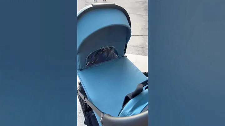 Коляска універсальна 2в1 Carrello Alfa Альфа