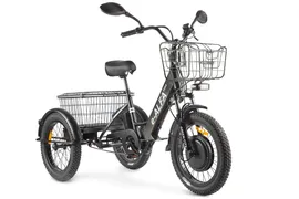 Электровелосипед GREEN CITY e-ALFA Trike, Черный-2515, Трёхколёсный / грузовой