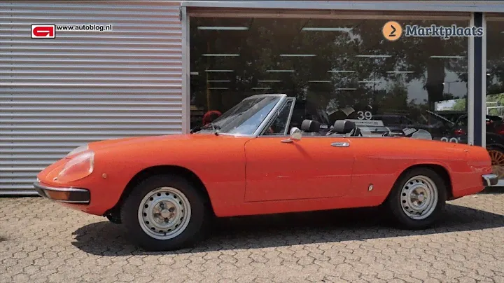 Alfa Romeo Spider (1966–1993) buying advice
