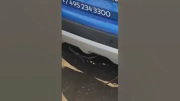 Качественный парктроник