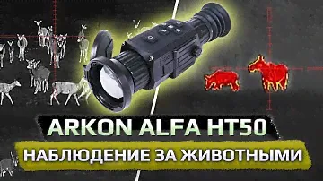 Наблюдение за животными через тепловизионный прицел Arkon Alfa HT50.