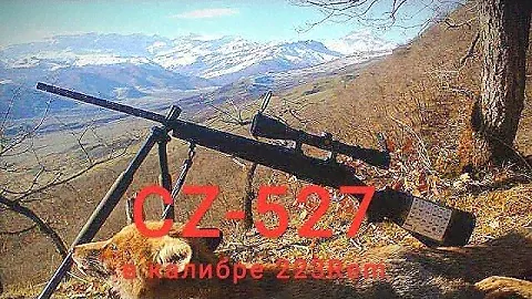 Немного о винтовке CZ 527