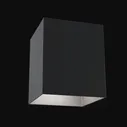 Потолочный светильник Maytoni C015CL-01B Alfa