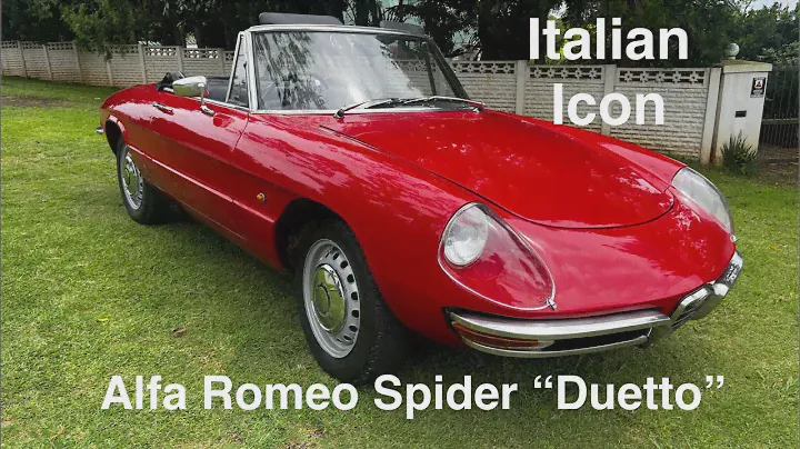Classic 1967 Alfa Romeo Duetto Spider 1600 review - true Italian icon #alfa #alfaromeo #cars
