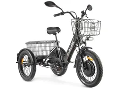 Трехколесный электровелосипед Трицикл GREEN CITY e-ALFA Trike Черный