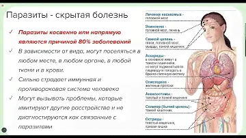 Антипаразитарный комплекс Alpha Achievers.