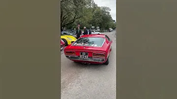 Alfa Romeo Montreal V8  sound #alfa #alfaromeo #montreal #classiccars #italiancars #italy #oldmoney