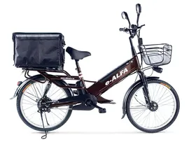 Электровелосипед Green City e-alfa GL с термобоксом