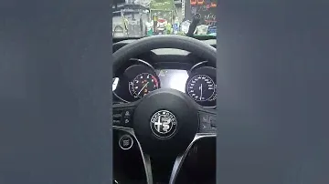 Alfa Romeo Stelvio  установка starline s96 v2 gsm/gps