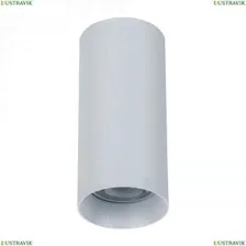 C010CL-01W Потолочный светильник Maytoni, Alfa