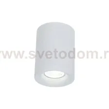 Потолочный светильник Maytoni C012CL-01W Alfa