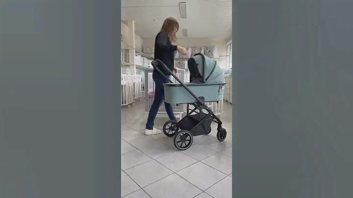 Коляска Carrello Alfa 2в1