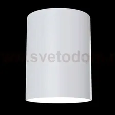 Потолочный светильник Maytoni C014CL-01W Alfa