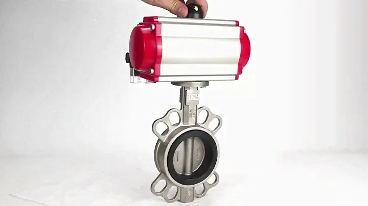 Water Butterfly Valve Elephant 316L-EPDM-SA-4M310-110/220