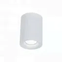 Потолочный светильник Maytoni C012CL-01W Alfa