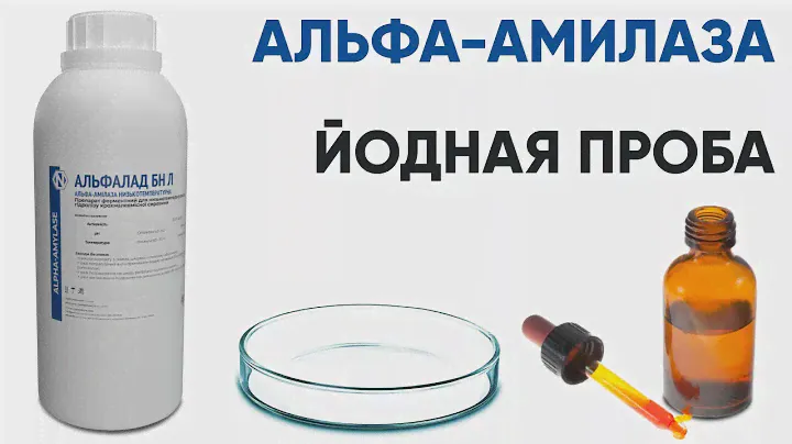 Альфа-амилаза (Альфалад). Расщепление крахмала. Йодная проба.
