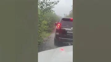 Лучший парктроник 💯👍