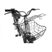 Электровелосипед GREEN CITY e-ALFA GL 500W 48V 10.4AH-4