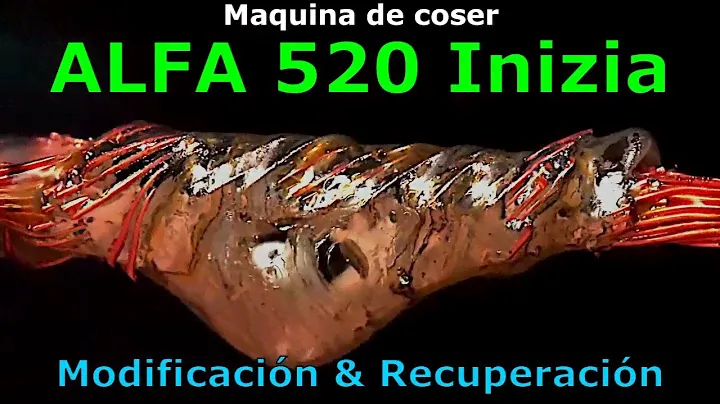 Maquina coser ALFA 520 - Modificación & Recuperación