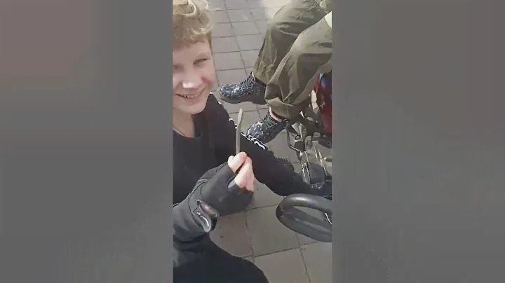 альфа гепард