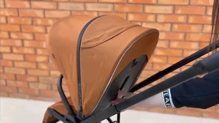 Прогулянкова коляска з реверсивним блоком Carrello Alfa CRL-5508 2023 року