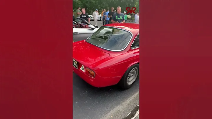 1963 Alfa Romeo Giulia | Is this the most classic car? #alfaromeo #alfaromeo1963 #alfaromeogiulia