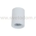 Потолочный светильник Maytoni C012CL-01W Alfa